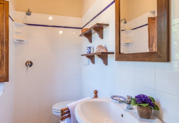 En-suite bathroom with a shower al primo piano - Casale dei Tigli