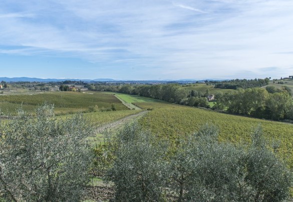 Il panorama mozzafiato apprezzabile dalla villa - Casale Dei
