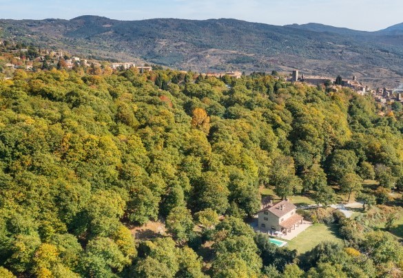 La proprietà circondata dal castagneto e il paesino di Santa Fiora sullo sfondo – Casale del Castagneto