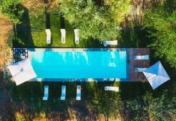 Il solarium della piscina in prato misto ospita lettini e ombrelloni - Casale dell’Oasi