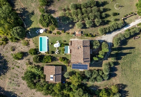 The property surrounded by olive groves - Casale delle Farfalle