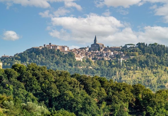  The city of Todi in the foreground - Casale delle Farfalle