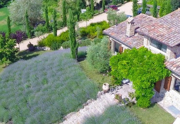 Il casale in pietra con le lavande come protagonista ovunque -  Casale delle Lavande 