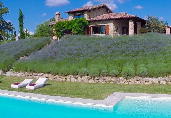 Il meraviglioso casale in pietra visto dalla zona piscina - Casale delle Lavande 