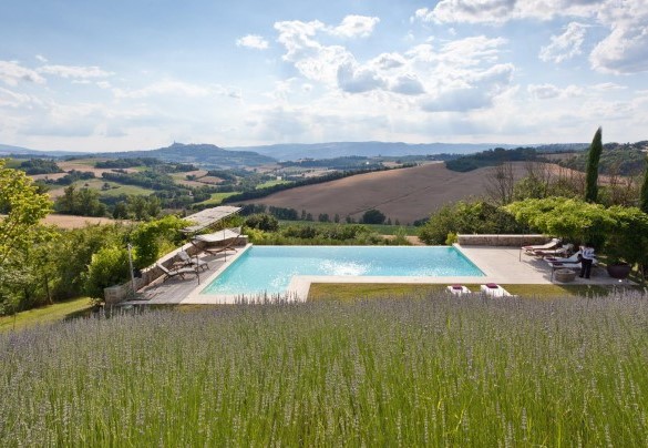 Le lavande e sullo sfondo la splendida piscina -  Casale delle Lavande 