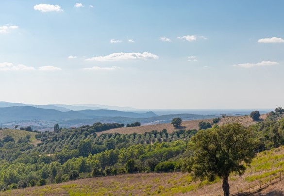 Il casale in collina nel cuore della Maremma - Casale Grottini