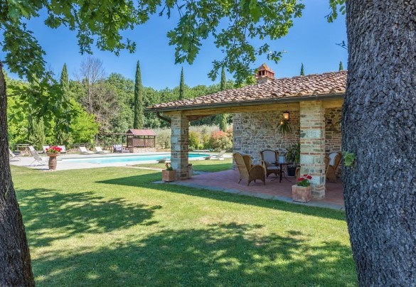 Il giardino in cui si distribuiscono zone di bosco e zone coltivate ad ulivo - Casale La Splendida