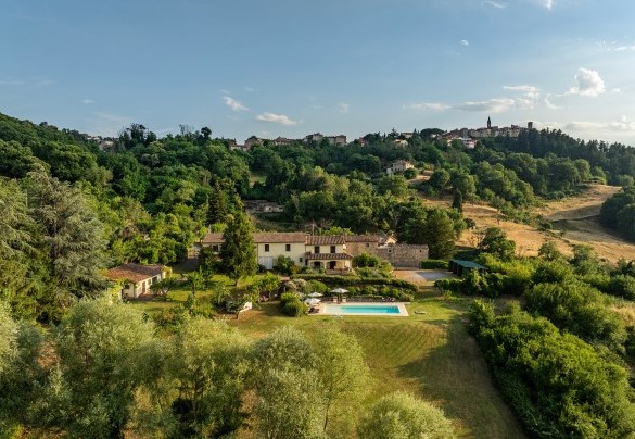 The forest surrounding the property – Casale Le Conce
