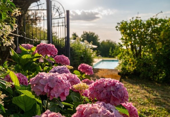 The well-kept garden surrounding the pool – Casale Le Conce