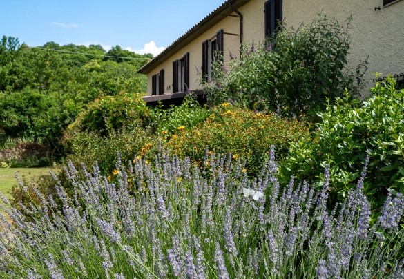 The well-kept garden surrounding the farmhouse – Casale Le Conce