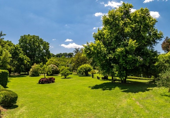 Il giardino verde e curato tra la villa e la piscina – Casale Le Querce 