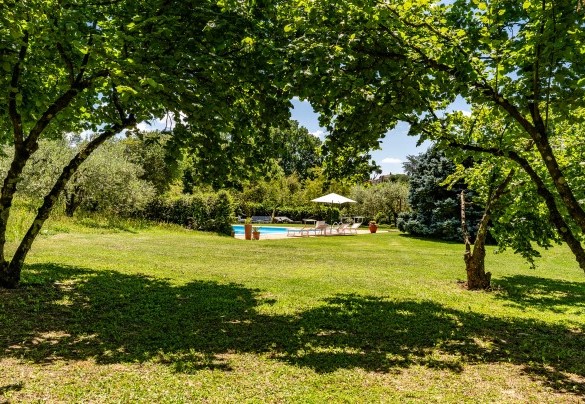 La piscina è raggiungibile dal portico attraversando il prato e salendo alcuni gradini – Casale Le Querce
