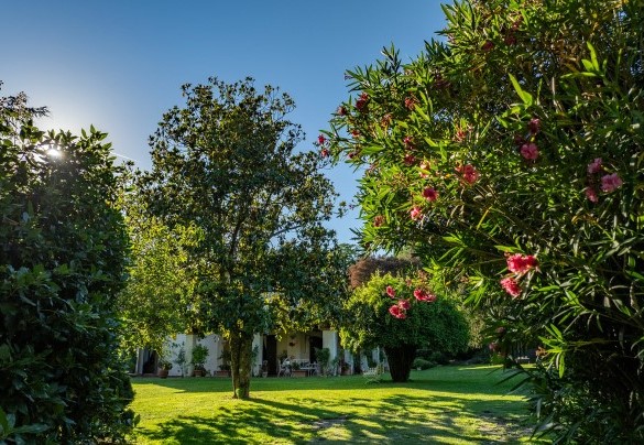 Il parco caratterizzato da prato misto, olivi, querce, castagni, noccioli, aromatiche e bosco controllato – Casale Le Querce