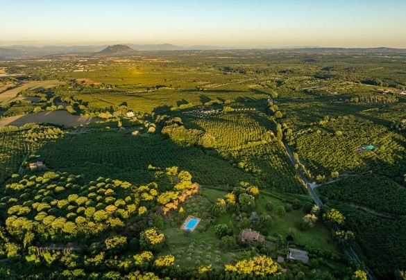 Le colline intorno alla proprietà coltivate a nocciolo – Casale Le Querce 