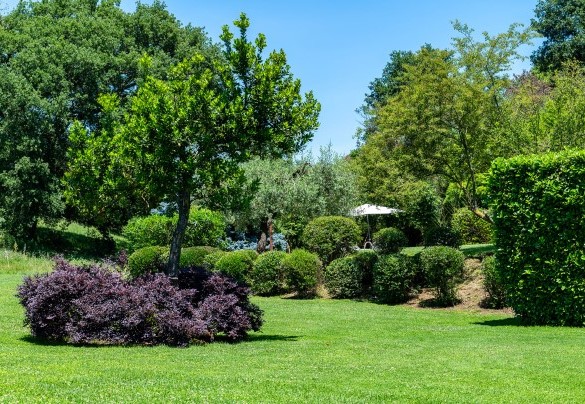 Il parco caratterizzato da prato misto, olivi, querce, castagni, noccioli, aromatiche e bosco controllato – Casale Le Querce