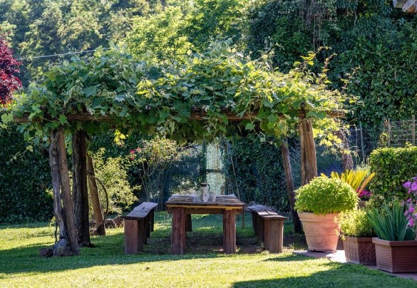 Tavolo da pranzo ombreggiato dalla pergola d’uva – Casale Le Querce 