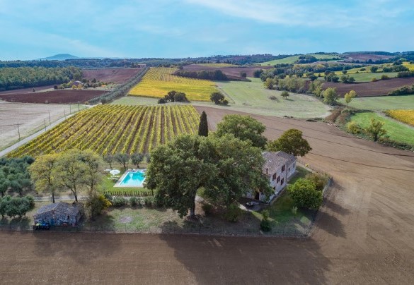  The property embraced by cultivated fields - Casale Le Tre Querce