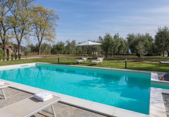  The swimming pool surrounded by olive grove - Casale Le Tre Querce