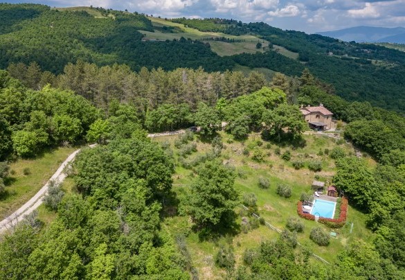 The forest and the olive grove that embraces the property - Casale Mollina  