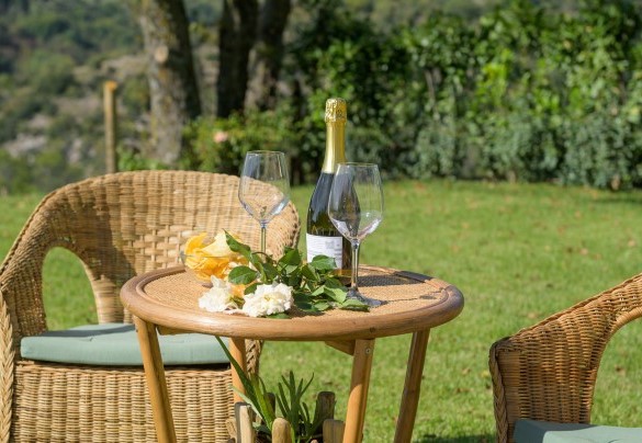 Relax point in the well-kept lawn - Casale Tavernelle