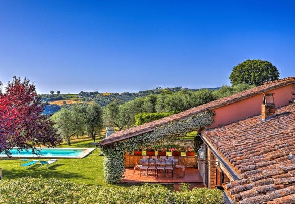 Un uliveto si sviluppa accanto la villa - Casale Tre Cipressi