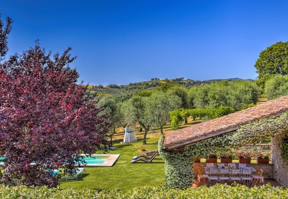 Un uliveto si sviluppa accanto la villa - Casale Tre Cipressi