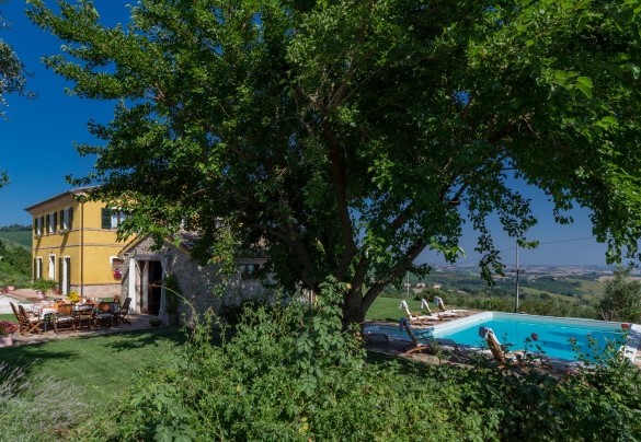 The house is immersed in the green countryside and far from the chaos of the city  - Casale Verdicchio