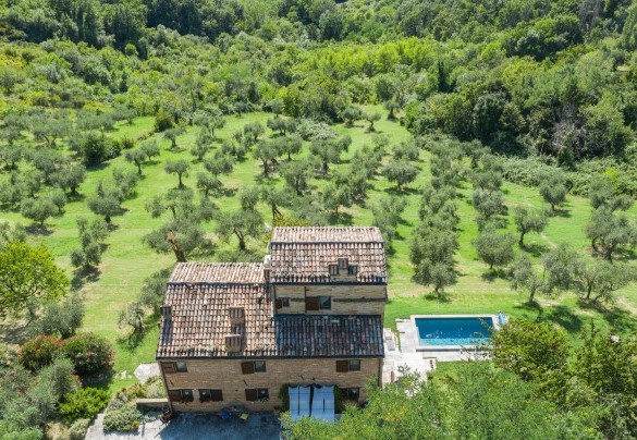 The gently-sloping terrain descends from the house towards the large olive grove - Casatorre 6+2