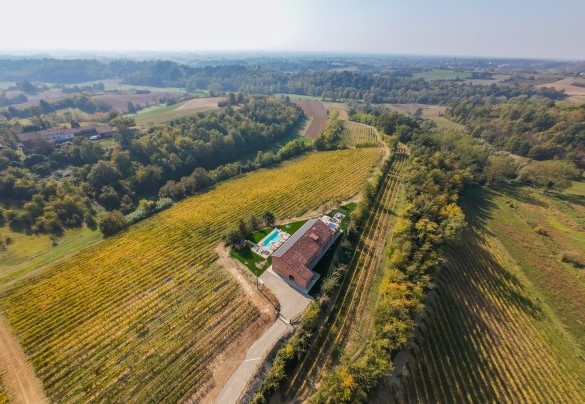 The rows of vineyards surrounding the villa – Cascina Buzio