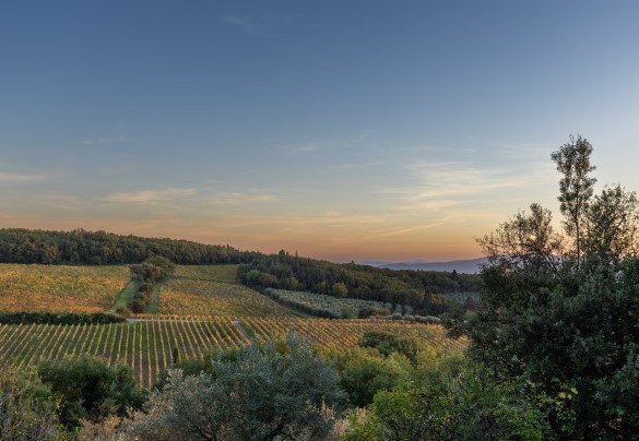 Vista panoramica della proprietà - Castellare in Poggio