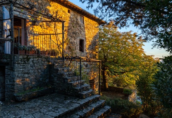 Tutto intorno al casale dimora una vegetazione variegata - Castellare in Poggio	