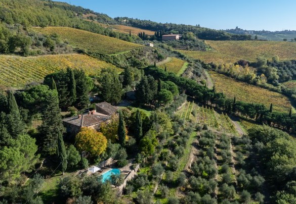 Vista panoramica della proprietà - Castellare in Poggio