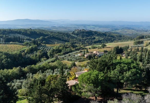 Vista panoramica della proprietà - Castellare in Poggio	