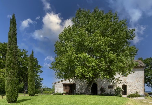 Side facade of the villa with manicured lawn, trees and main entrance - Checello