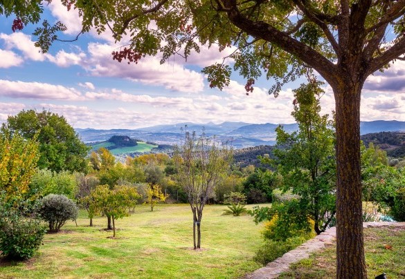 Prevalentemente a prato, il giardino è un’esplosione di colori della vegetazione mediterranea ed è punteggiato da alberi da frutto, cipressi, ulivi e cespugli di aromatiche – Cinque Cipressi