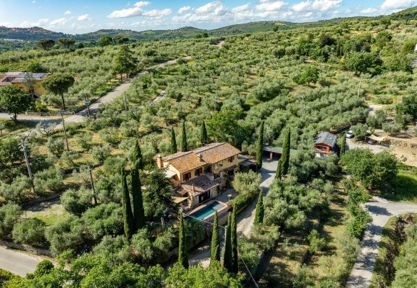 Il casale è circondato da uliveti - Colle Calzolaro 