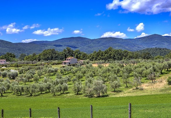 Il panorama collinare apprezzabile dalla piscina - Colle Del Sole