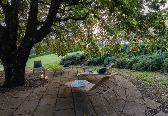 The garden is enriched by dense bushes and trees such as holm oaks, oaks, olives and myrtle providing many shady areas - Cosciano