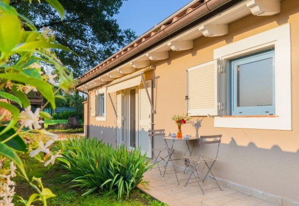 Il retro della casa con accesso diretto nel giardino - Cottage Violapo