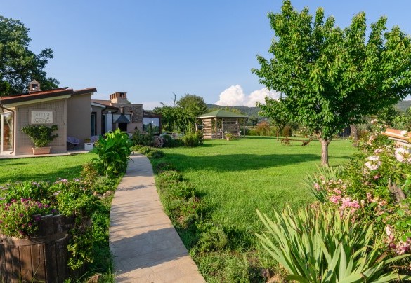 Viale di ingresso tra il parcheggio e la casa - Cottage Violapo