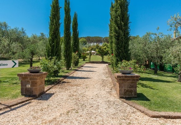Il viale d’ingresso alla villa all’interno della proprietà – Country House San Martino