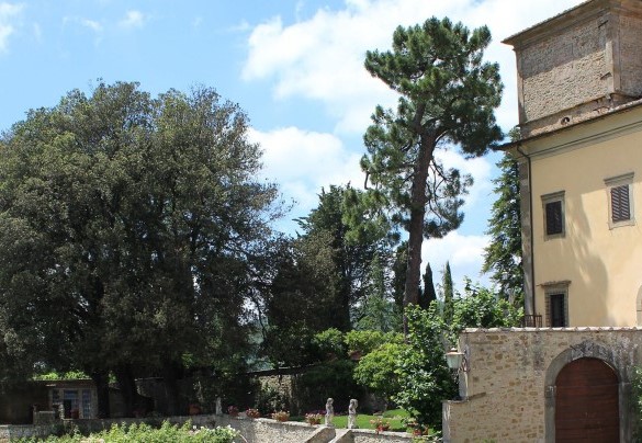 The beautiful medieval castle which dominates the estate – Crognole 