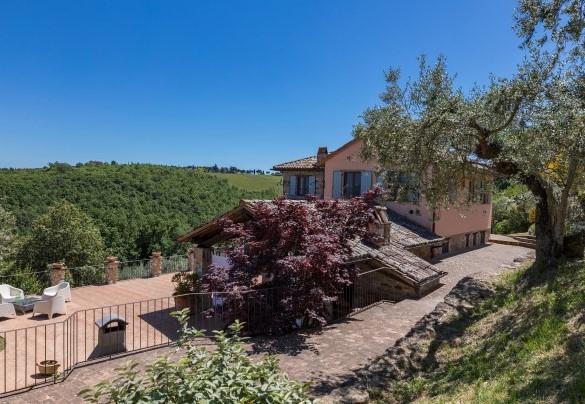 Gli ulivi al di sopra della villa - Dalmanuta