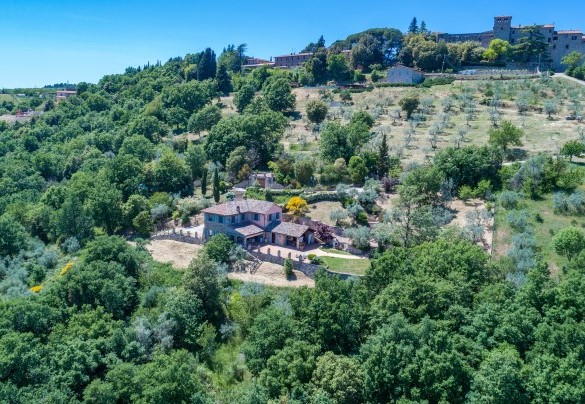 L'intero parco visto dall'alto - Dalmanuta
