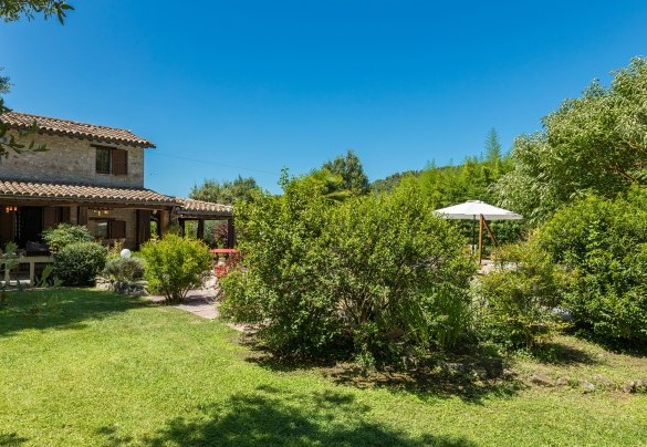 The expanse of green lawn, with many varieties of vegetation typical of the area and tall trees - Dimora Alessandra 