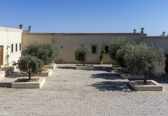 Il cortile  - Dimora degli Ulivi	