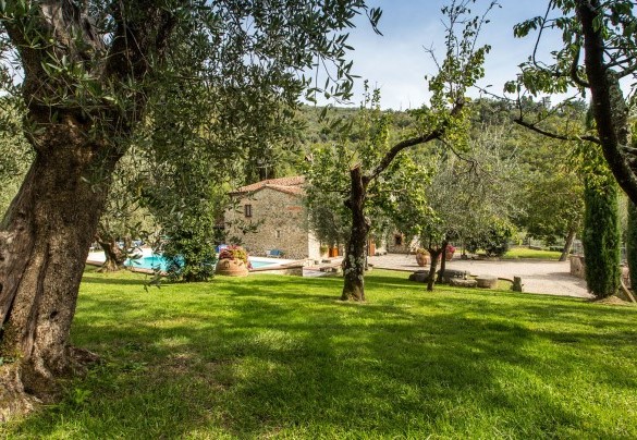 The park with manicured lawn embellished by olive, cypress and fruit trees and various herbs – Dimora La Torre di Bussotto 