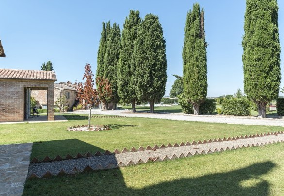 Il viale di cipressi tipici della zona - Dimora Rovena  