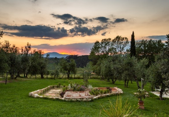 Il giardino e l’uliveto al tramonto – Dimora San Germano