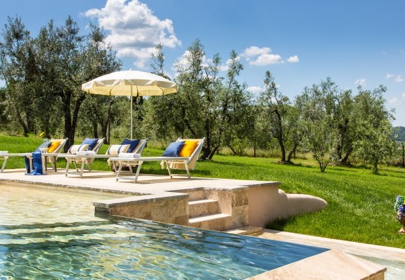 Il prato verde e curatissimo e gli ulivi che cingono la piscina – Dimora San Germano